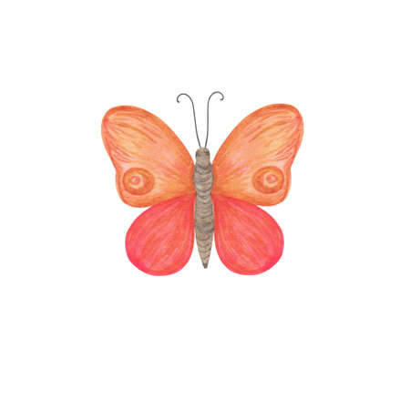 Red and orange butterfly watercolor illustration isolated on the white background, simple hand drawn colorful clipart for cards, invitations, textile or any other design purposesの写真素材