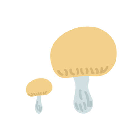 Mushroom, toadchese seasonal Halloween vector illustration of inedible fairymushrooms autumn holidays simple minimalist hand drawn doodle style drawingのイラスト素材