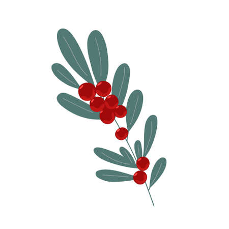 Christmas plant decorative branch with leaves, red berries for home decor, festive holiday arrangement, vector illustration for seasonal greeting card, invitation, bannerのイラスト素材