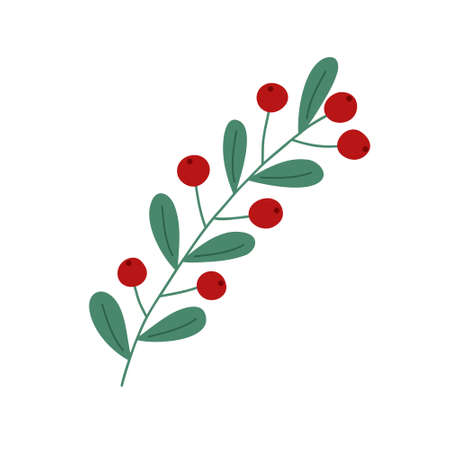 Christmas plant decorative branch with green leaves, red berries for home decor, festive holiday arrangement, vector illustration for seasonal greeting card, invitation, bannerのイラスト素材