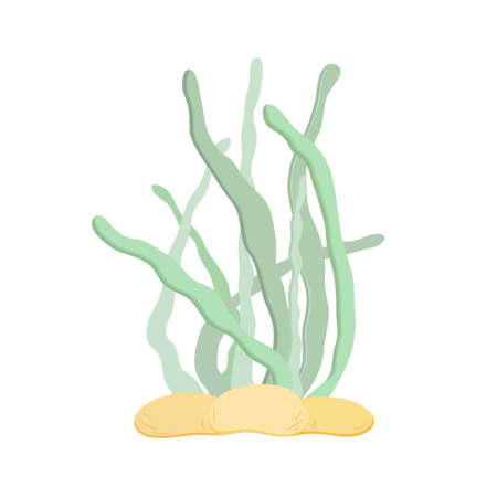 Sea weed cute wildlife vector illustration, underwater sea plants cartoon image for kids, marine...