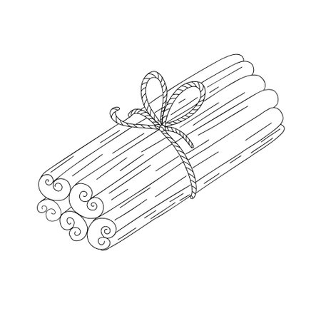 Cinnamon sticks spice bound with ribbon and bow simple outline doodle vector illustration, Christmas, New Year festive holiday home decor, seasonal greeting card, invitation, bannerのイラスト素材