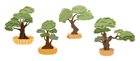 Decorative bonsai trees set in flower pots, domestic plant simple cartoon vector illustration, Japanese traditional culture element in simple flat styleのイラスト素材