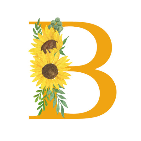 ABC, Letter B of Latin alphabet decorated with sunflowers and leaves, floral monogram watercolor illustration in simple hand painted style, summer flowers decorative letterの写真素材
