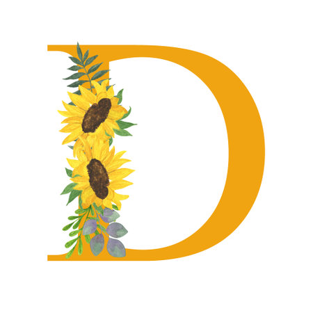 ABC, Letter D of Latin alphabet decorated with sunflowers and leaves, floral monogram watercolor illustration in simple hand painted style, summer flowers decorative letterの写真素材