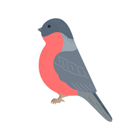 Bullfinch bird cute cartoon vector illustration for Christmas holiday winter decor element, New Year celebration festive design, hand drawn image for greeting card, poster, invitationのイラスト素材