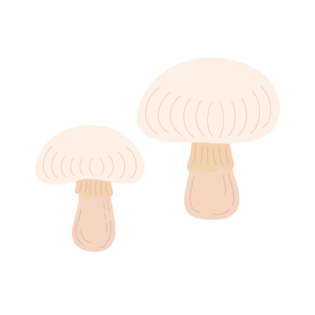 Button mushroom hand drawn vector illustration, edible fungi image for cooking delicious dishes, champignon raw food ingredient, organic diet and healthy life concept, good eating habits promotionのイラスト素材