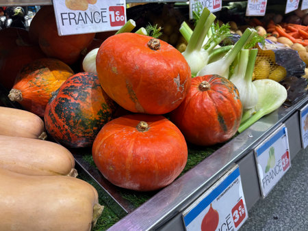 Fresh squash vegetable displayed at local market in France, arranged alongside seasonal vegetables, colorful autumn harvest scene with natural texture, organic productの写真素材