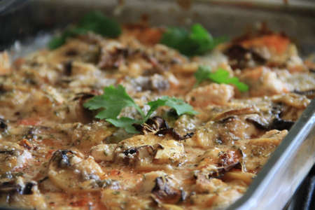 vegetarian pizzaの写真素材