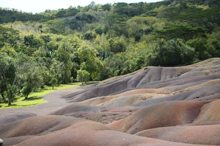 chamarelの写真素材