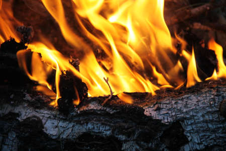 Hot of fireの写真素材