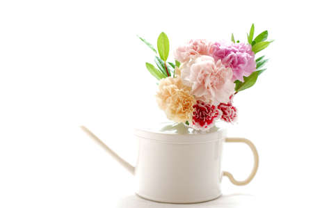 arranged flower                の写真素材