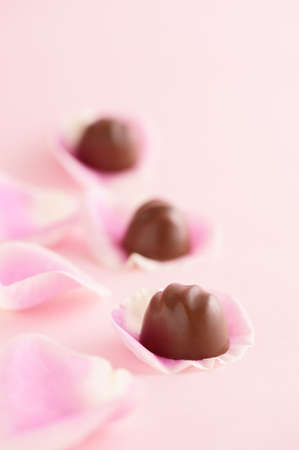 Chocolate on petal of rose for Valentineの写真素材