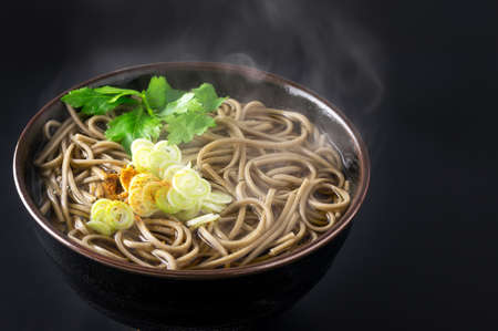 Japanese buckwheat noodles in hot soupの写真素材