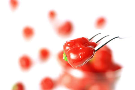 Red hot dangerous pepper ; Habaneroの写真素材