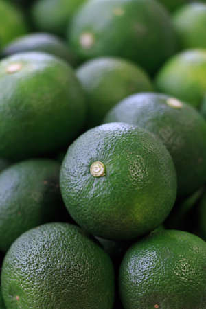 Sudachi green small Japanese citrusの写真素材