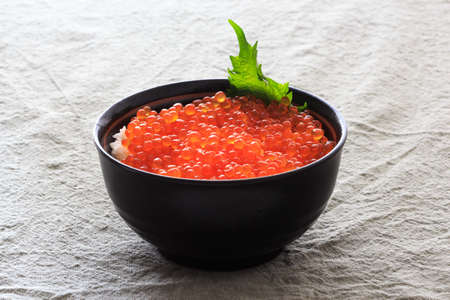 Red Caviar donburi ; Japanese food \" Ikura don\"の写真素材