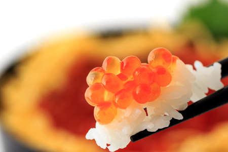 Red Cavier, salmon roe donburi ; Japanese food " Ikura don"の写真素材