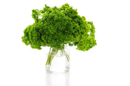 Fresh parsley in the jarの写真素材