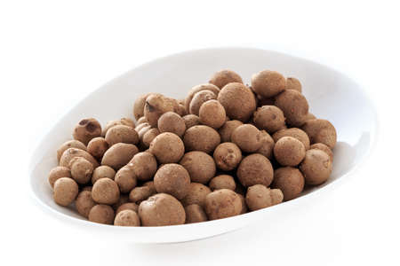 Propagule of Japanese yam, glutinous yamの写真素材