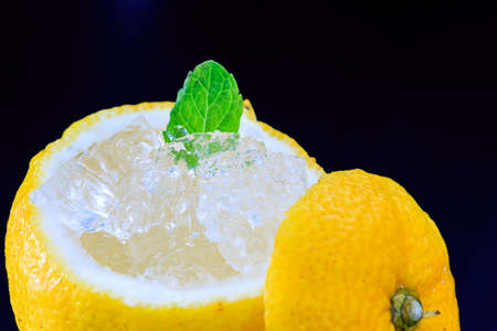 Yuzu Jelly in the Yuzu kettleの写真素材