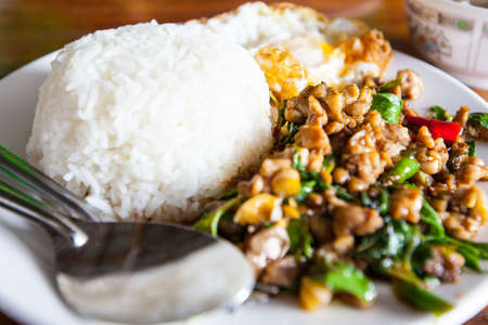 Fried basil leave with chicken on rice の写真素材