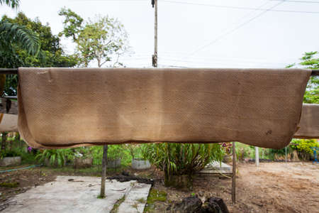 Making rubber sheets process,dry raw rubber sheets in the sun の写真素材