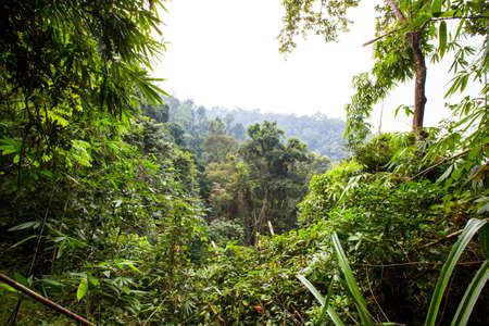 And see view above of Punyaban waterfall, Ranong, Thailand, Itâ€™s far from town about 13 km 