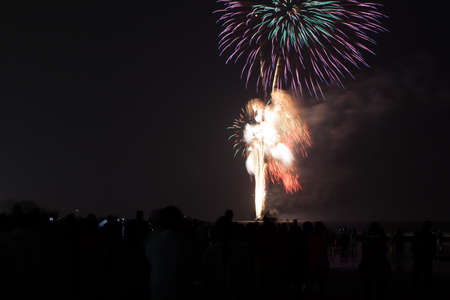 people in silhouette watch a colorful fireworks show