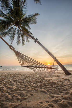 Empty hammock on tropical beach wiht sunrise.の写真素材