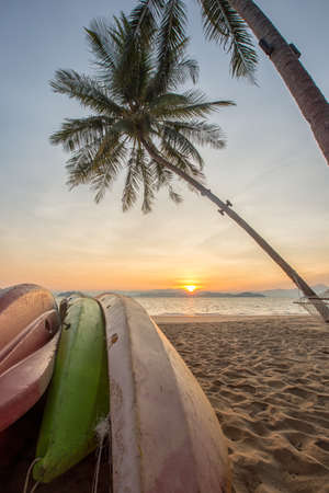 kayak under a palm tree on sand beach.の写真素材