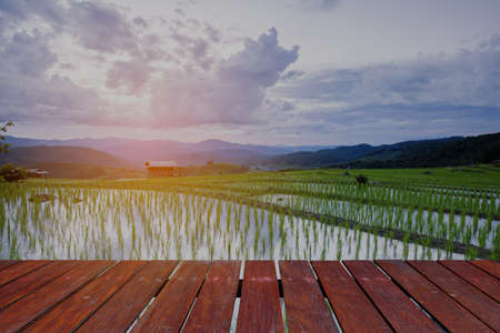 wooden floor and Blured Agriculture terrace rice fields on the mountainの写真素材