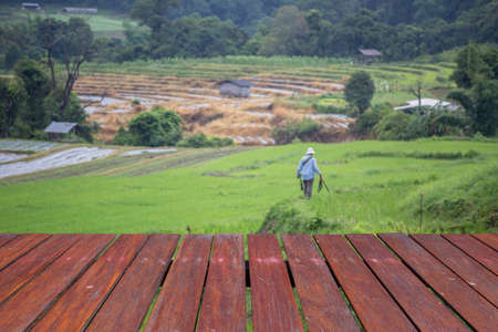 wooden floor and  Blured photographer on the  paddy rice farmの写真素材