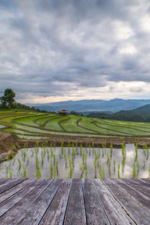 wooden floor and Blured Agriculture terrace rice fields on the mountainの写真素材
