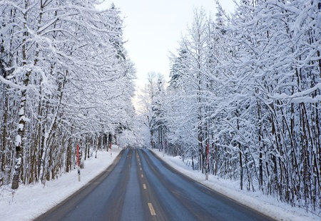 Street during Wintertime in the Forestの写真素材