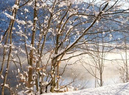 Wintertime at the Lake with Snowの写真素材