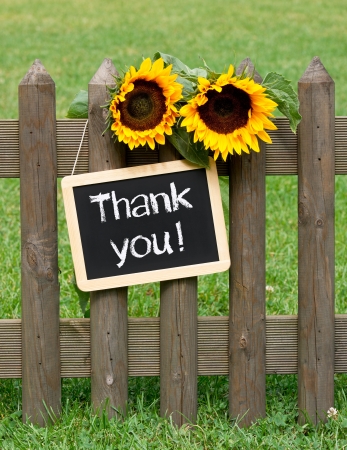 Thank you  の写真素材