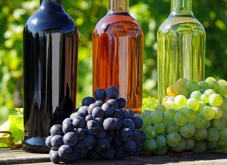 Wineの写真素材