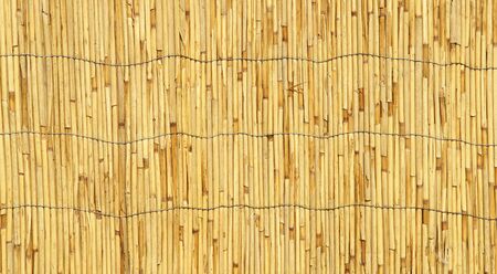 Bamboo Backgroundの写真素材