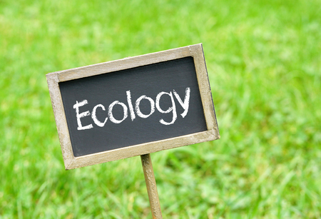 Ecologyの写真素材