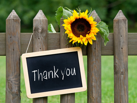 Thank youの写真素材