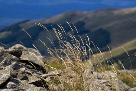 Beauty of mountains seen on tourist trail の写真素材