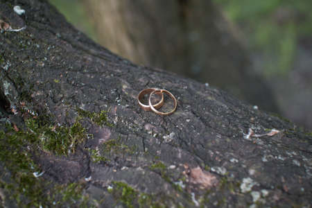 wedding ringsの写真素材