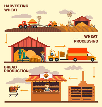 Production of bread, harvest, processing of grain, grain products for sale, vector illustration Factory and the production of bread, isolatedのイラスト素材