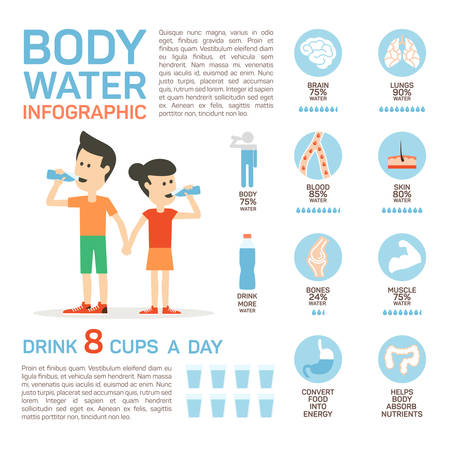 Vector flat style of body water infographic concept. Concept of drinking water, healthy lifestyle. Bottle brain body lungs bones blood skin muscle stomach.のイラスト素材