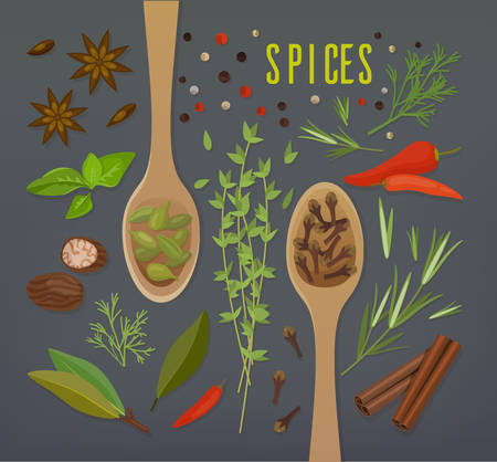 Spice herbal plants with spoons including cloves and cinnamon, white and black pepper, allspice and pimento, dill and basil, coriander and tarragon or estragon, nutmeg and mint, mustard and cardamomのイラスト素材
