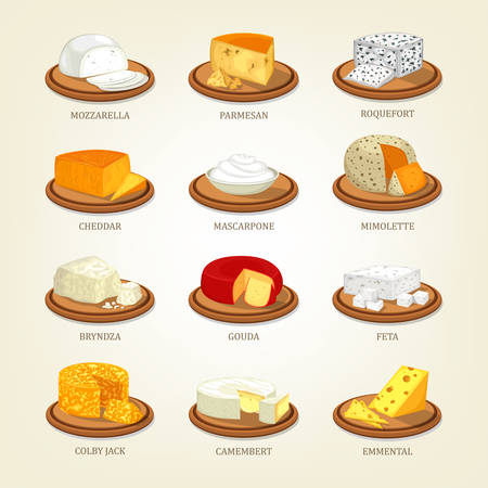 Cheese food like parmesan and mozzarella, roquefortのイラスト素材