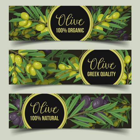 Signs for shop with olive branches with berryのイラスト素材