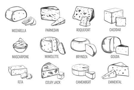 Set of isolated sketches of cheese types.のイラスト素材