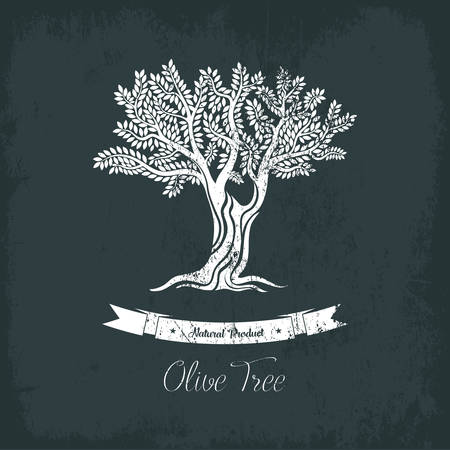 Natural olive oil tree logo for olive grove. Fruit plant with berry and branches. May be used for olive oil tree banner or olive grove logo, ancient greece tree or market badge or liquid shop emblem.のイラスト素材